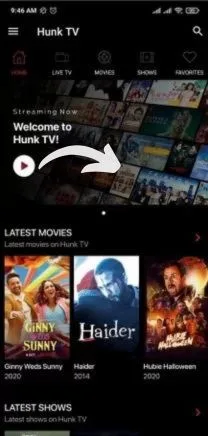 Interesting features of this hunk TV APK