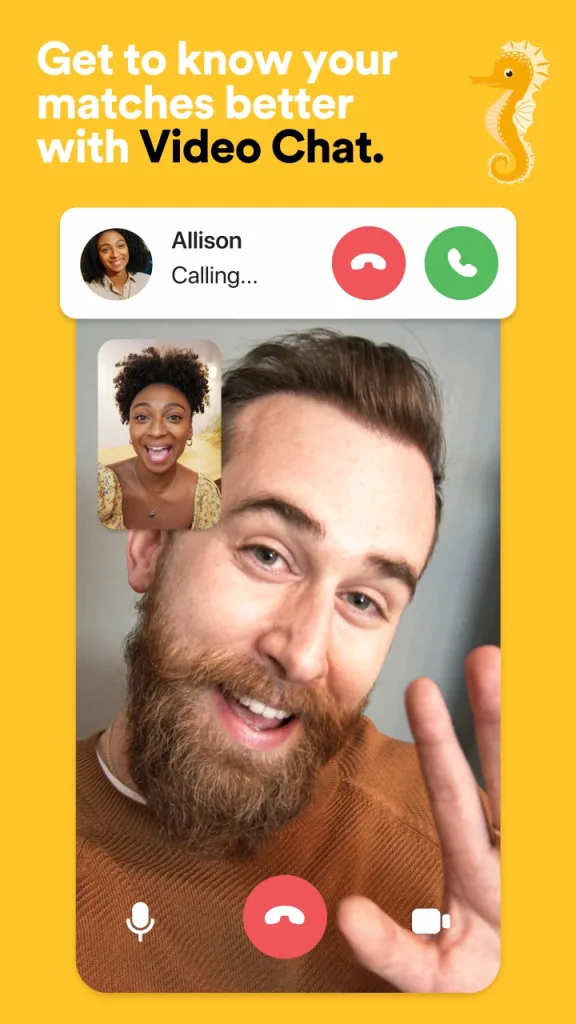 Voice and video chat